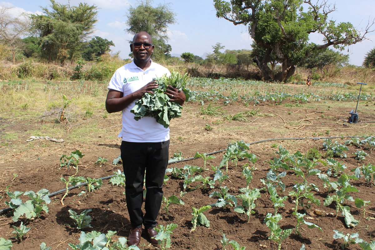 <a href="/AToolit/">Ambrose D Toolit</a> <a href="/grassroots_gard/">Grassroots Alliance for Rural Development (GARD)</a> <a href="/FAOUganda/">FAO in Uganda</a> <a href="/MAAIF_Uganda/">MAAIF 🇺🇬</a> GARD Demonstrating that its possible to build household resilience through adaptive and climate smart technology.