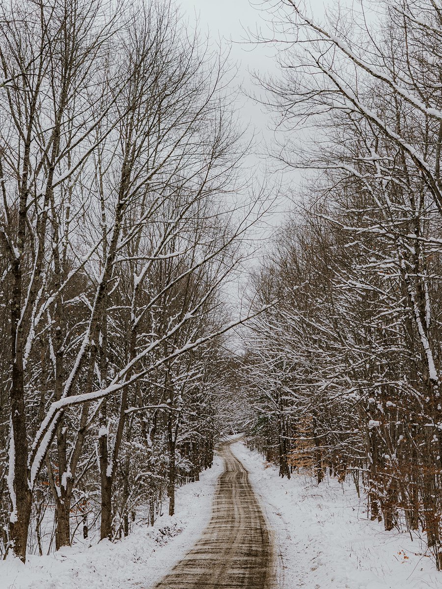 Raise your hand if you thought winter was over 🙋🏼‍♀️

#justgoshoot #wintervibes #reframedmag #lookslikefilm #createexplore #rurex #snowscape #cabinlife #exploreoutdoors #roamtheplanet #nostalgic #liveoutdoors #scenicny #localtourist #earthoffical #peoplescreative #n8zine #lakelife