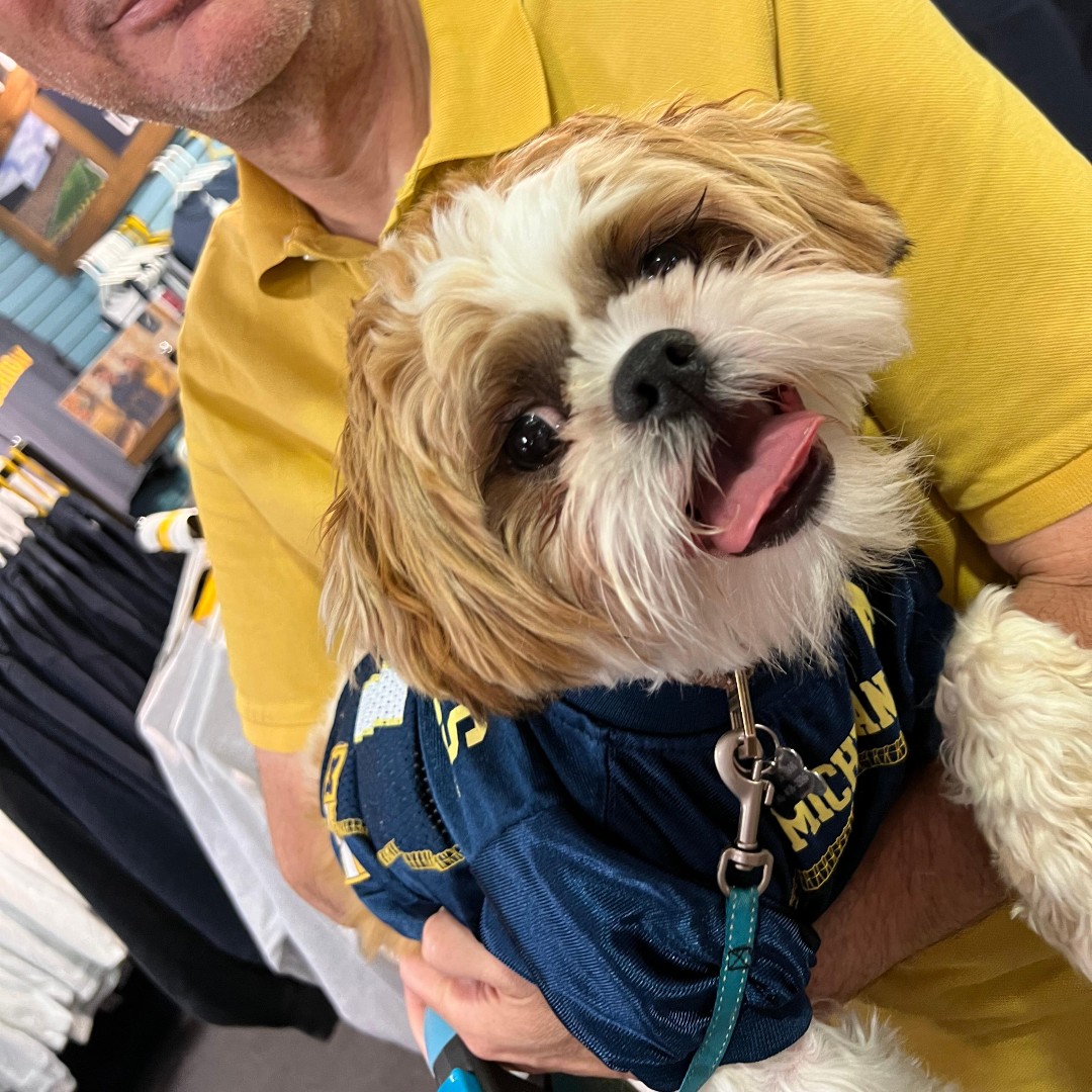 umichmcsp's tweet photo. One of our #MCSPets, Mendel, is a fervent supporter of #GivingBlueday 💛💙 
@umichLSA https://t.co/GZjzjWoW1t