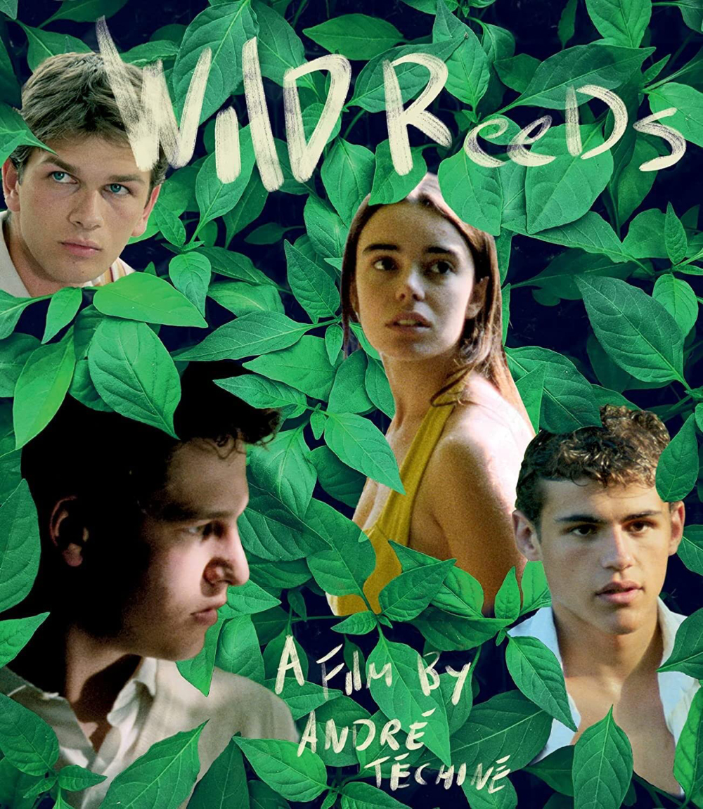 Midsommar Director's Cut