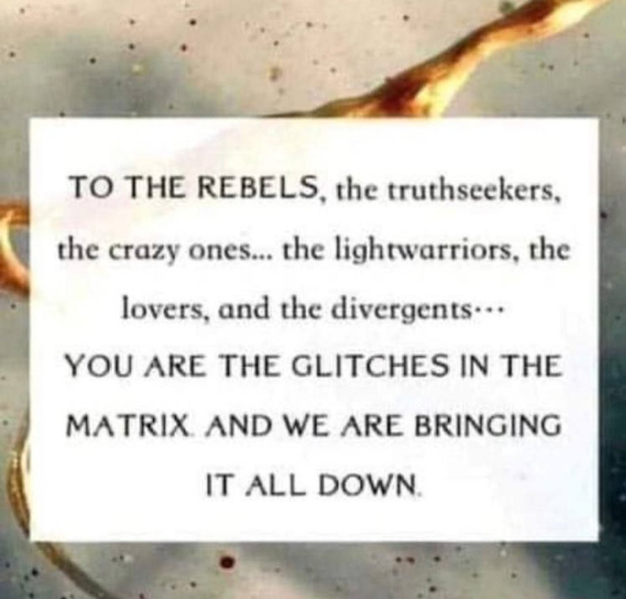 To the REBELS, the truthseekers, the crazy ones... the lightwarriors, lovers, & the divergents...

YOU ARE THE GLITCHES IN THE MATRIX, AND WE ARE BRINGING IT DOWN!