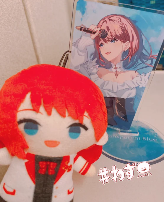 今回ゲットしたもの。ライブグッズに関してはふぉろわさんに感謝です 色々あって物販に間に合わなかったんで...... 