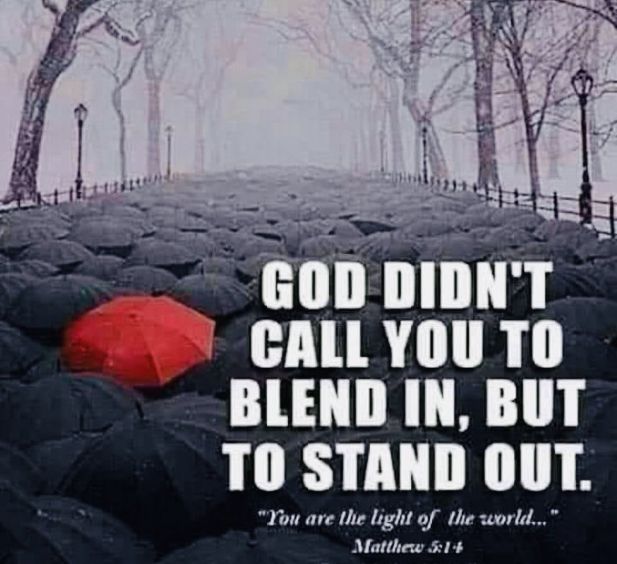 Emmanue37844681's tweet photo. #Jesus Said in Matthew 5:14-16
 “Ye are the💡light of the world. A city that is set on an hill cannot be hid.
Let your💡light so shine before men, that they may see your good works, and glorify your Father which is in heaven.” ✝️🔥 https://t.co/OKYMAv3wWM