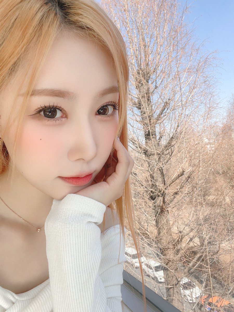 sparklydong's tweet photo. 🖇️ TWITTER 230315
🤍
- © hf_dreamcatcher
#DREAMCATCHER #HANDONG
#NightsIntoDays #혼자서걸어요 https://t.co/RfjmJsDSjd