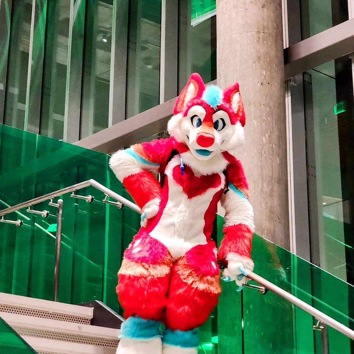 Belsi 🦊❤️🚲 tweet media