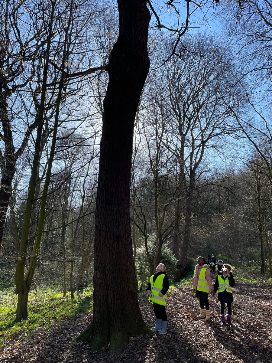 Year1Beck's tweet photo. Before the snow came we had a wonderful day in Wooley Woods. We looked at the structure of trees and looked for signs of spring. #beckscience https://t.co/uuO3Di6bh2