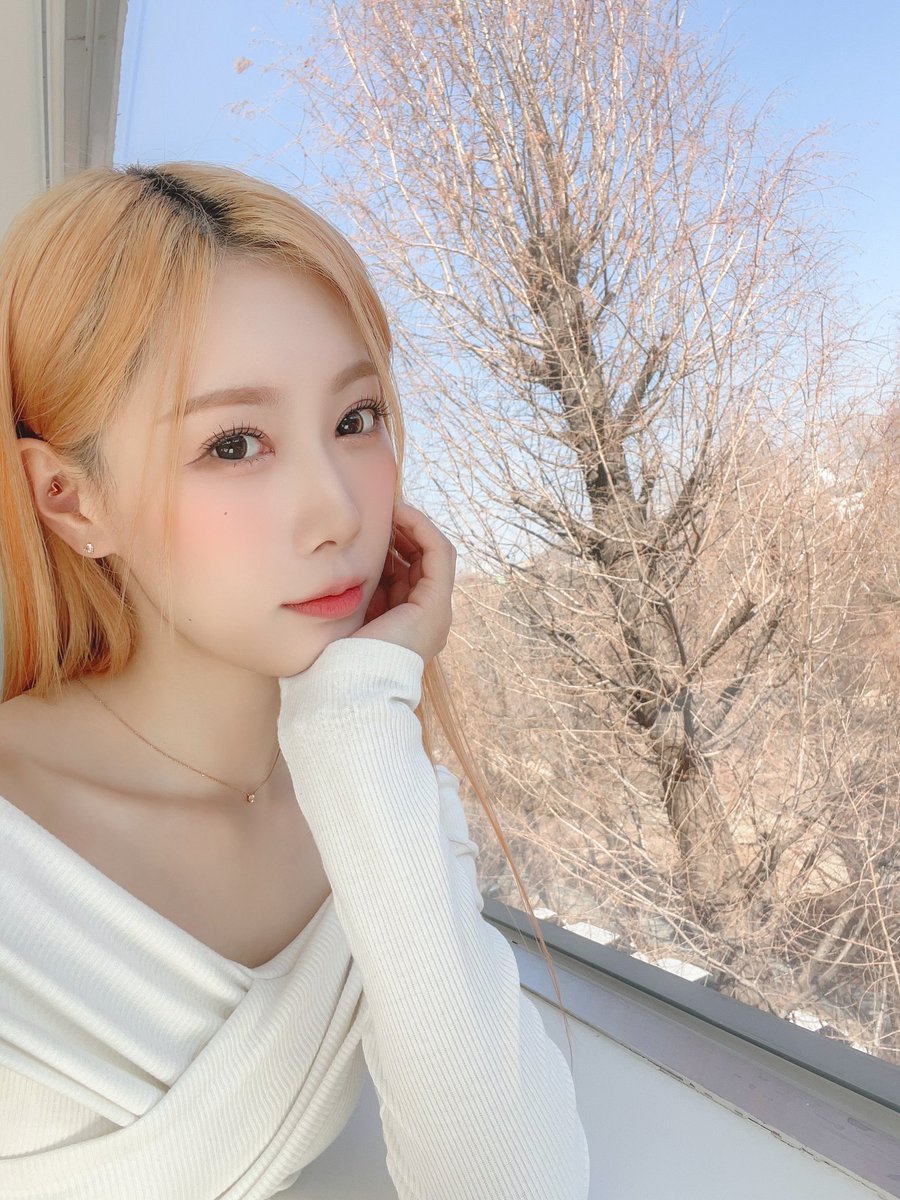 sparklydong's tweet photo. 🖇️ TWITTER 230315
🤍
- © hf_dreamcatcher
#DREAMCATCHER #HANDONG
#NightsIntoDays #혼자서걸어요 https://t.co/RfjmJsDSjd
