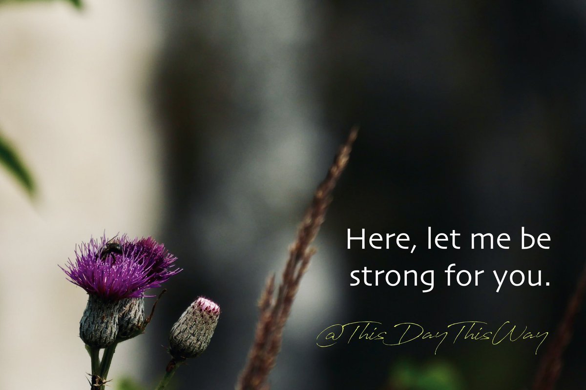 thisdaythisway's tweet photo. #support #griefsupport #loss #lifeafterloss #griefandloss https://t.co/cKgqAMJJ3g