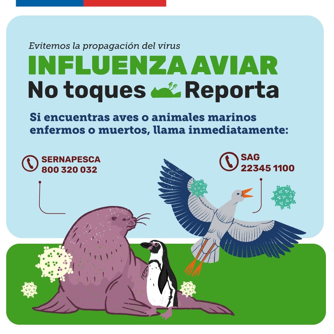 Hospital de Constitución tweet media