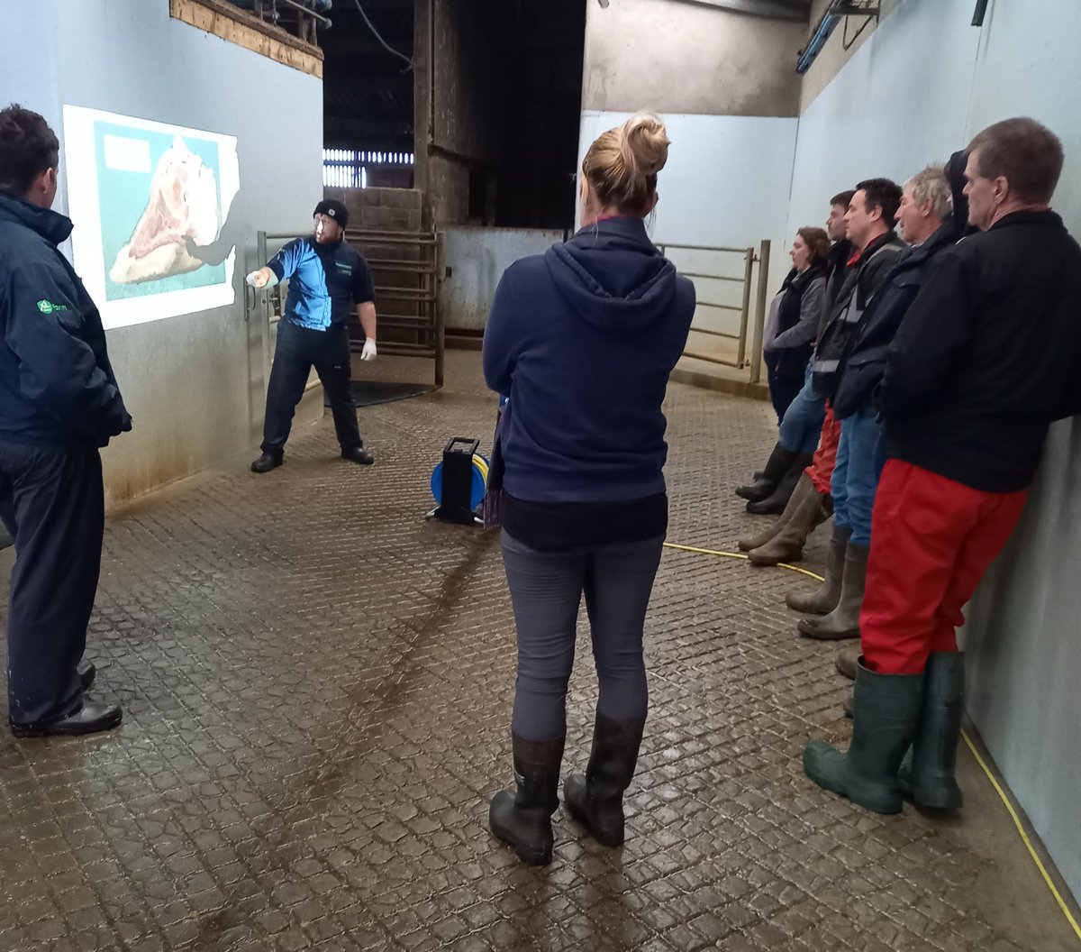 CLAcademy tweet media