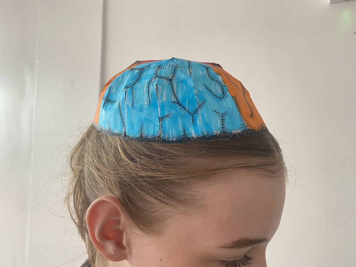 MissMilesPsych's tweet photo. Brain hats with an excellently engaged Y10 class today 🧠✨ https://t.co/boWae3xEWy