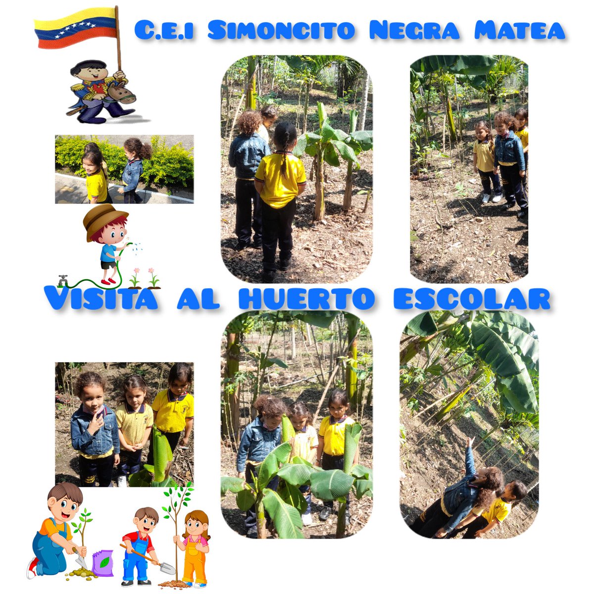 simoncito negra matea tweet media