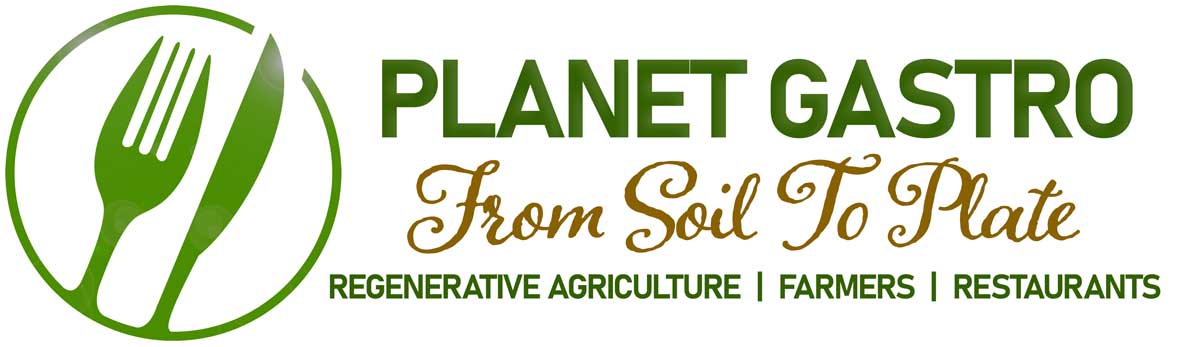 PLANET GASTRO tweet media