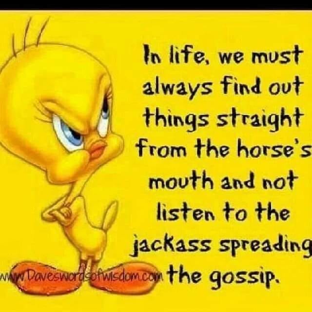 msbeco's tweet photo. No lies told here 💯💯💯💪🏾 https://t.co/pmptbz6kN9
