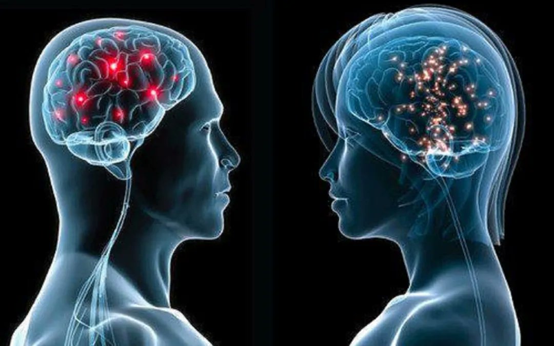 Dr. Nicole LePera tweet media