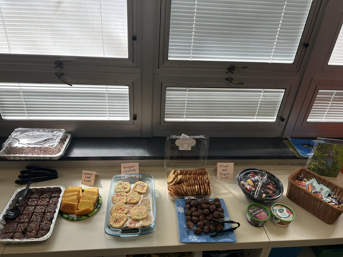 Ms Shein tweet media