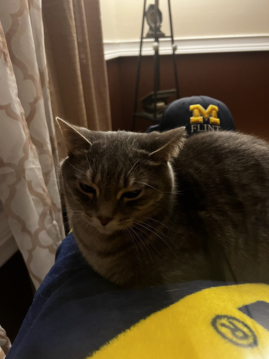 AbrahamDabaja's tweet photo. It’s time for the furry friends challenge! This #GivingBlueday, Louis is ready to support @umflint_club_baseball! (But he probably needs a nap first 😂) https://t.co/dxXPRBGa0R