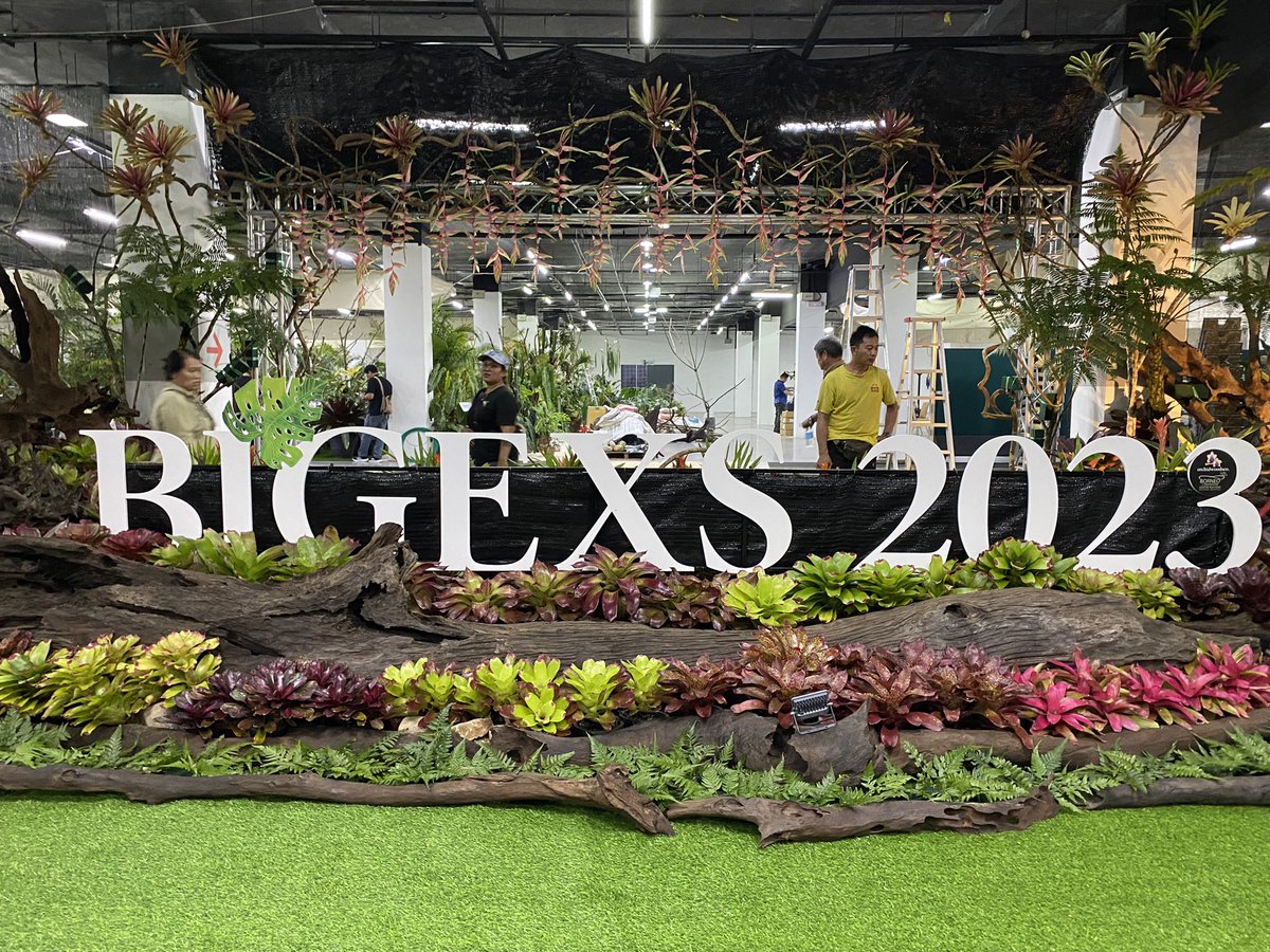 Design_by_Sam's tweet photo. BIGEXS 2023
Kuching, Sarawak , Malaysia https://t.co/KjXNH4GAi9