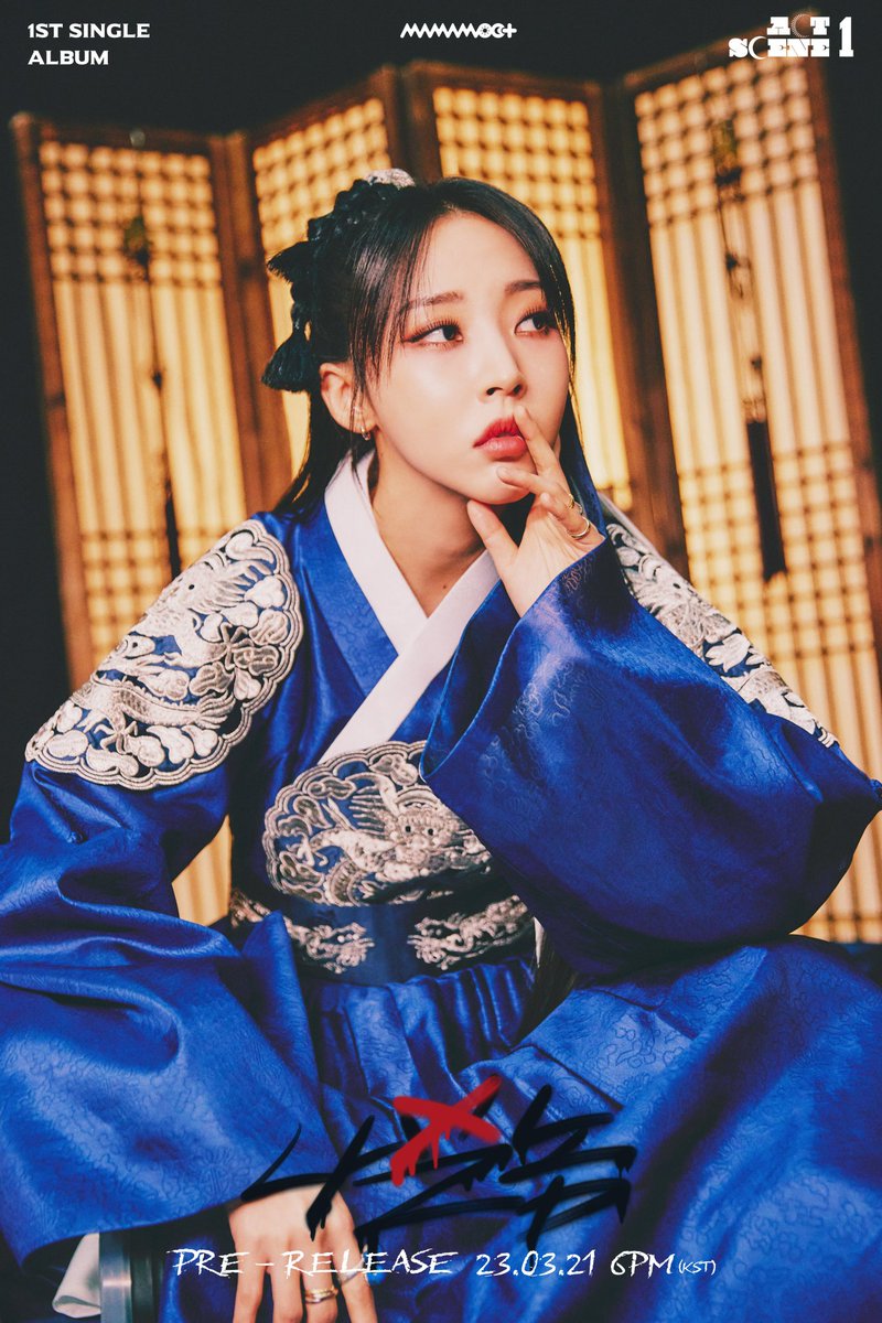 두부 tweet media