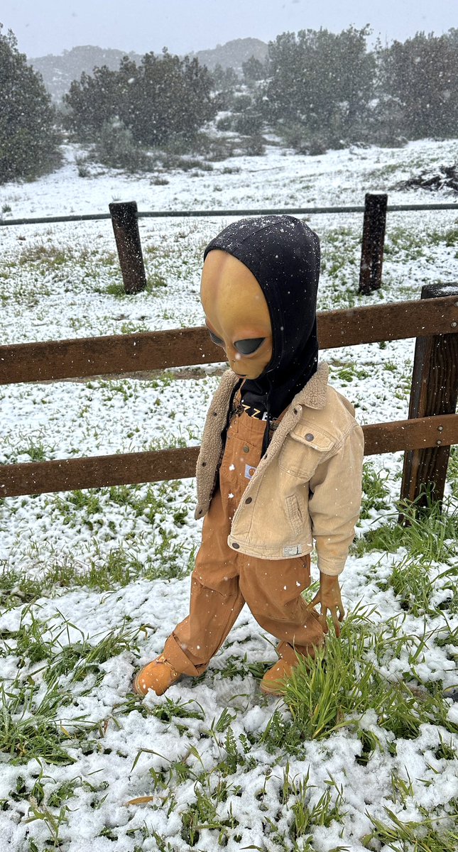 LILMAYO's tweet image. i’m losing myself again dawg i can feel it…