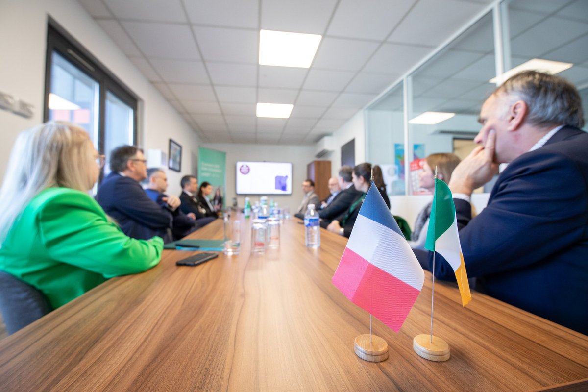 Irlande_Lyon's tweet photo. 🏭 Today, Minister @daracalleary and @IRLConsulLyon visited @MyGrantFR, a heating solutions company from Offaly ☘️

The company has benefited from the support of @Entirl_France and is part of a growing 🇮🇪 presence in the region 🇫🇷

#StPatricksDay #GlobalIreland https://t.co/uOcmihQINx