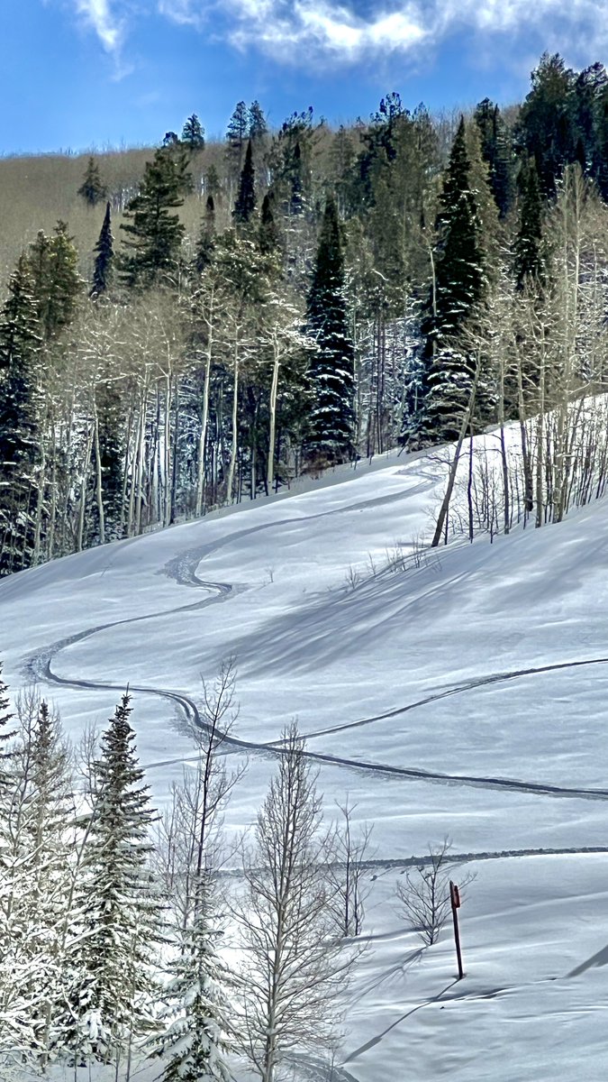 CharterSports's tweet photo. Ready to experience Colorado's Springtime in the Rocky Mountains?  Here's what you've been missing the last week with more snow expected on the way!   The best is yet to come!  

 #chartersports #coloradomountains #snow #colorado #rockymountains #skirentals https://t.co/edgnYT2yos