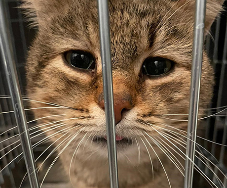 marillion13's tweet photo. Help Animals in #Ukraine, #SharingIsCaring, #SocialSecurity here only for the #MultipleDisabled #LongtimeLupusSurvivor (since 1992 yet).
https://t.co/bGzd7cZTW8
@peta https://t.co/eJRQvoqswY