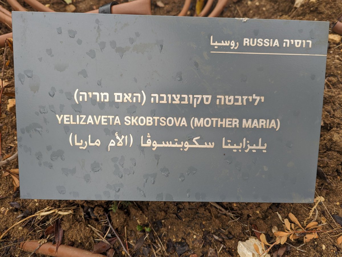 JamerRoberts's tweet photo. Today I visited Mother Maria Skobtsova's tree at Yad Vashem, where she's remembered as a Righteous Among the Nations for her work rescuing Jews in Paris, for which she was killed. 

I read her troparion which end with her voice: 'I have offered myself in love.' @yadvashem https://t.co/0DJ9zJTDgq