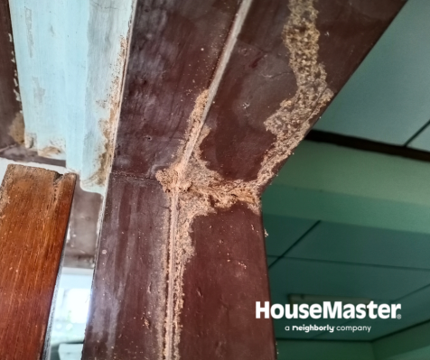 HouseMasterNYNJ's tweet photo. Termites can do significant damage to homes, and they often go unnoticed by homeowners until extensive damage is done. If you live in an area where termites thrive, have a professional termite inspection done annually.

 #TermiteAwarenessWeek #termiteweek #WDO #homeinspection https://t.co/uhCKH8bGlD