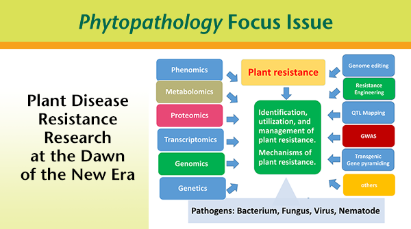 PhytopathologyJ's tweet photo. Our 2023 Focus Issue "Plant Disease Resistance at the Dawn of the New Era" is publishing soon.

Take a peek at the articles available in First Look, and stay tuned for more: https://t.co/ujQCPPLVkX

#plantdiseaseresistance #focusissue #Phytopathology https://t.co/yOcb2TQpl8