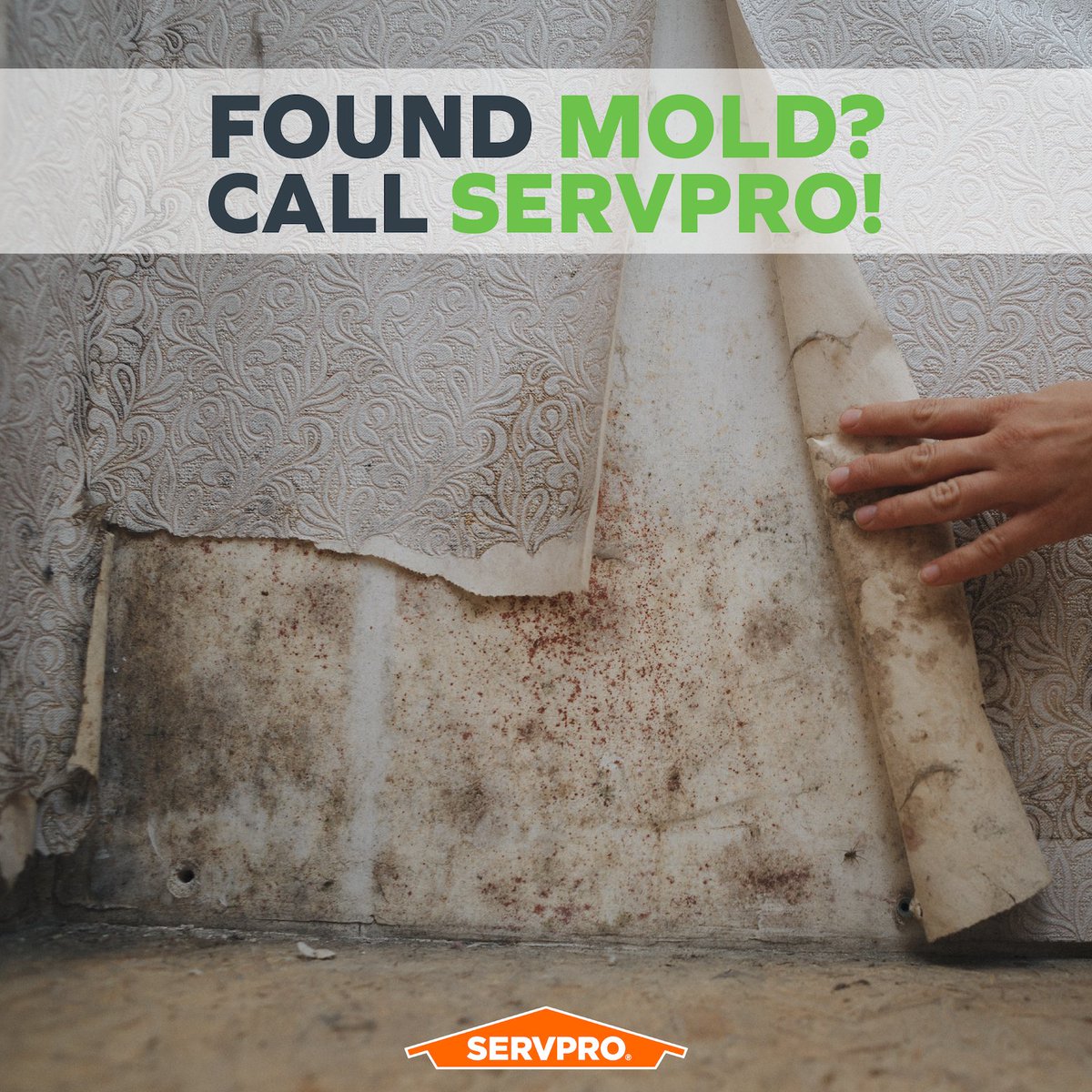 Have you discovered mold during a remodeling project? It may delay the process, but we can help your project can get back on schedule faster and finish with no more unexpected issues.