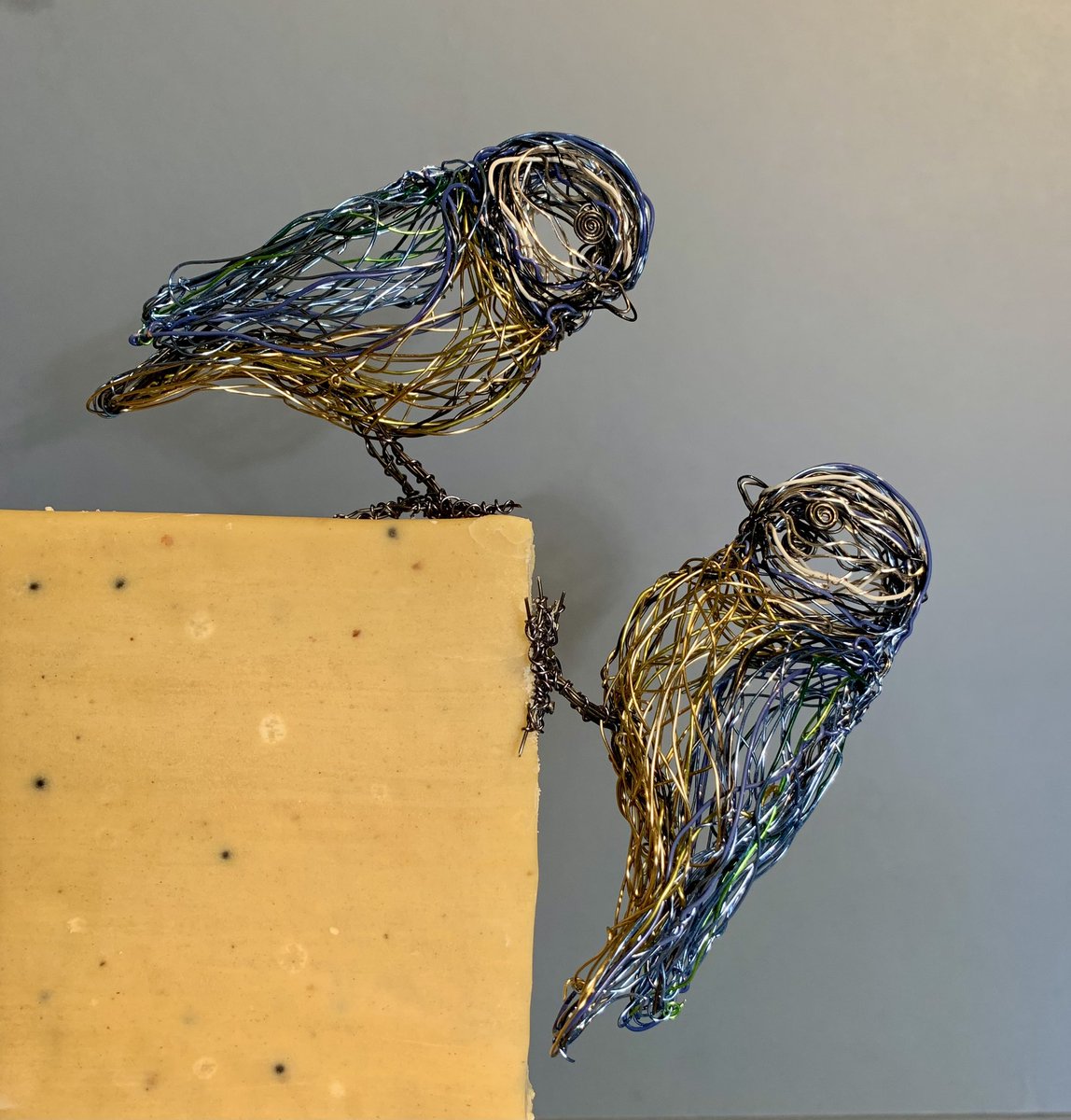 Bluetits just finished and ready for the exhibition At Artspace,Woodbridge,Suffolk from 23-29 March .#Suffolkartist #woodbridge #artforsale #suffolkmagazine #bluetit