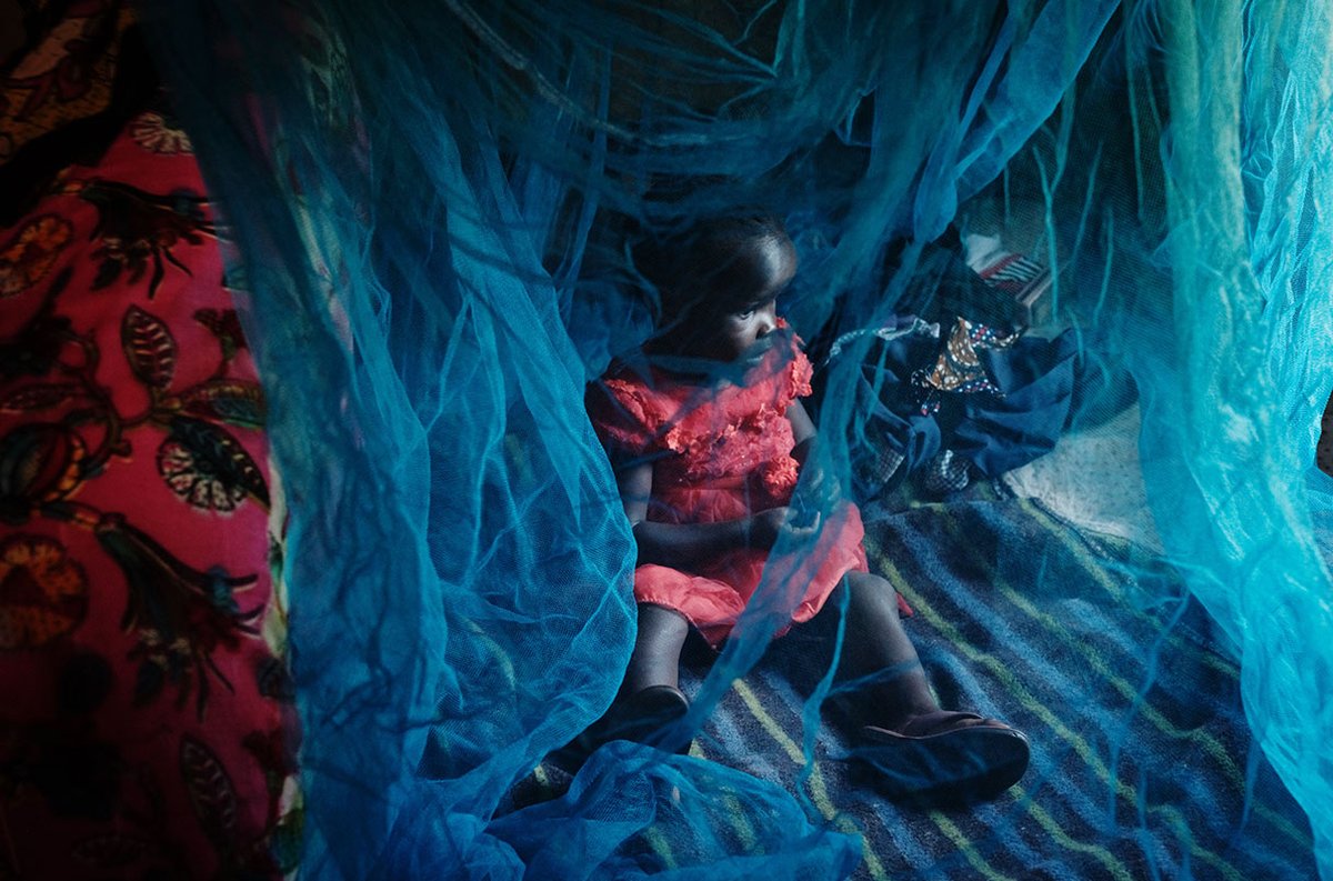 🦟"Next-generation bed nets get major endorsement from <a href="/WHO/">World Health Organization (WHO)</a>. WHO recommends switching to nets treated with new #insecticide after studies showed major reduction in #malaria cases" by <a href="/GretchenVogel1/">Gretchen Vogel</a> feat <a href="/CorineNgufor/">Corine Ngufor-Kalu</a> <a href="/LSHTM/">London School of Hygiene & Tropical Medicine</a>  science.org/content/articl… via <a href="/ScienceMagazine/">Science Magazine</a>