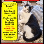 Photo by Animal Search UK (@AnimalSearchUK)