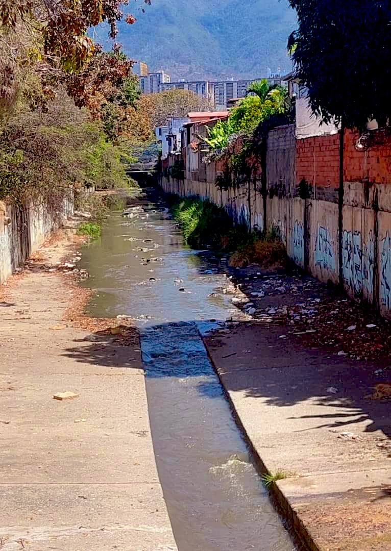 LaCaliforniaSu1's tweet photo. ATENCIÓN URGENTE @imapsas @EquipoSucre @jvrangelavalos @HectoRodriguez @lAlcaldiasucre EN ESTAS CONDICIONES SE ENCUENTRA LA QUEBRADA TOCOME DETRÁS DE LA CALLE MADEIRA CERCA DEL RÍO GUAIRE EN LA CALIFORNIA SUR, URGE ENVÍEN CUADRILLAS DE LIMPIEZA ANTES QUE LLEGUEN LAS LLUVIAS https://t.co/DBIVwWM8GF