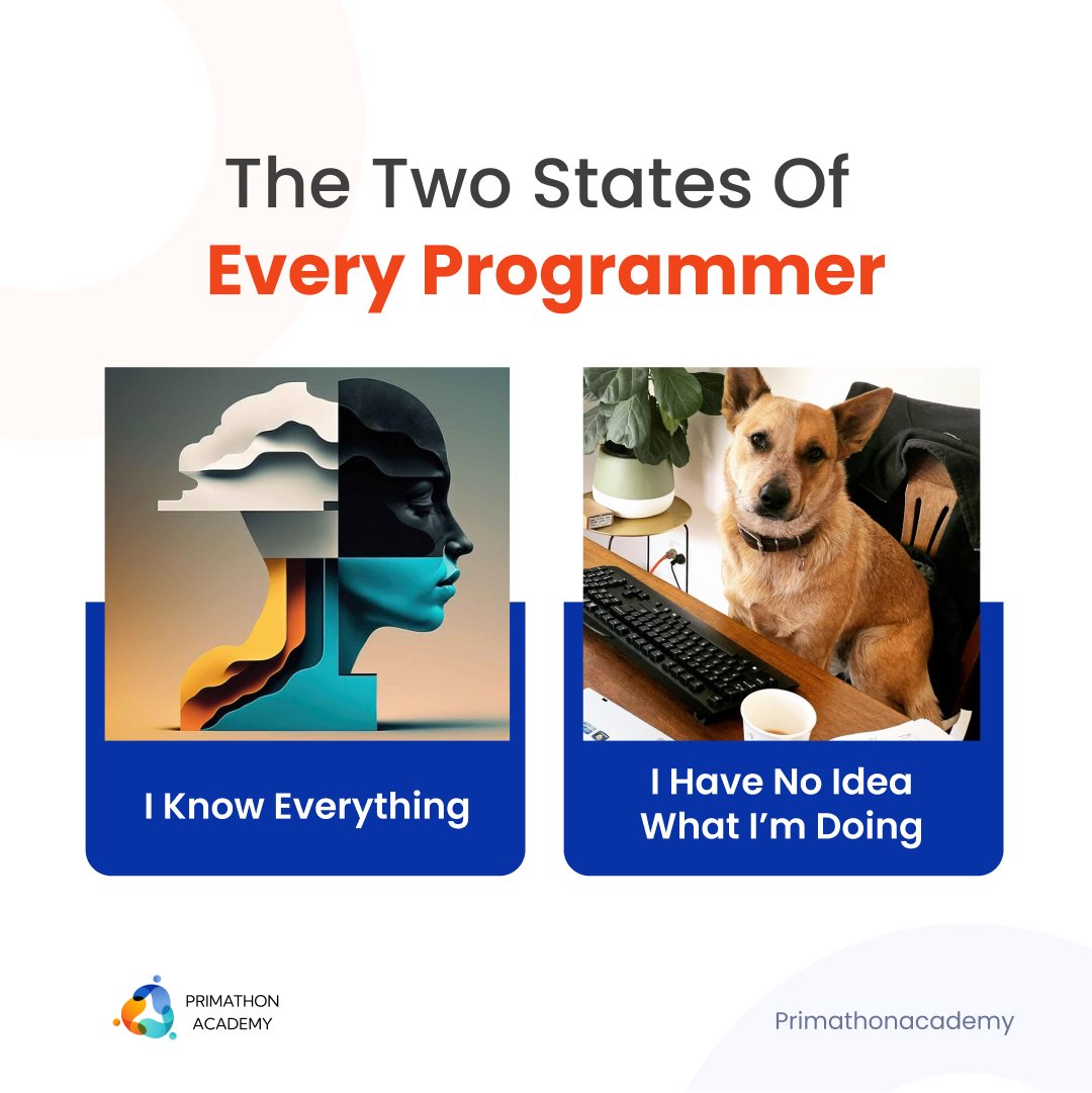 Academy_Prima's tweet image. Is it true?🤣🤣
.
.
.
#DeveloperMemes #CoderMemes #CodingLife #ProgrammingLife #DeveloperJokes