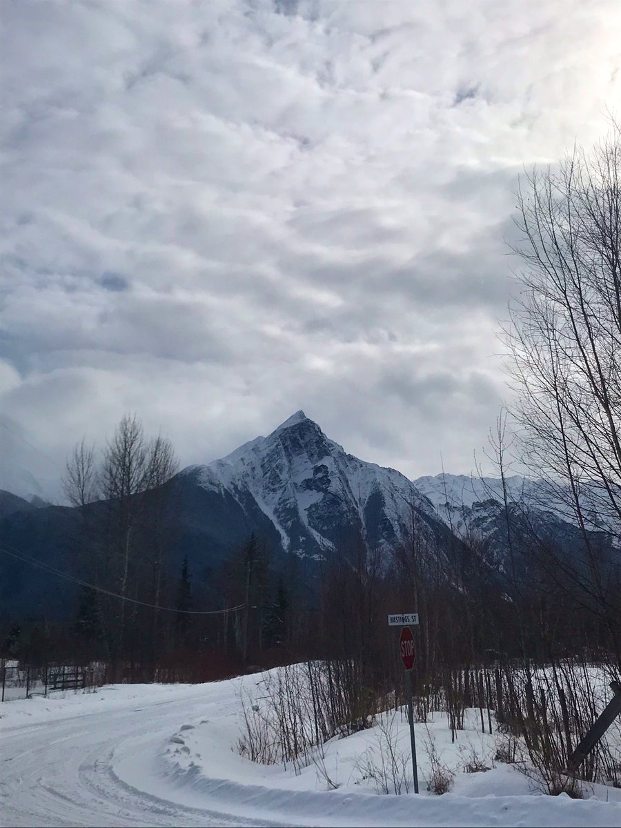 Hello from Northern BC