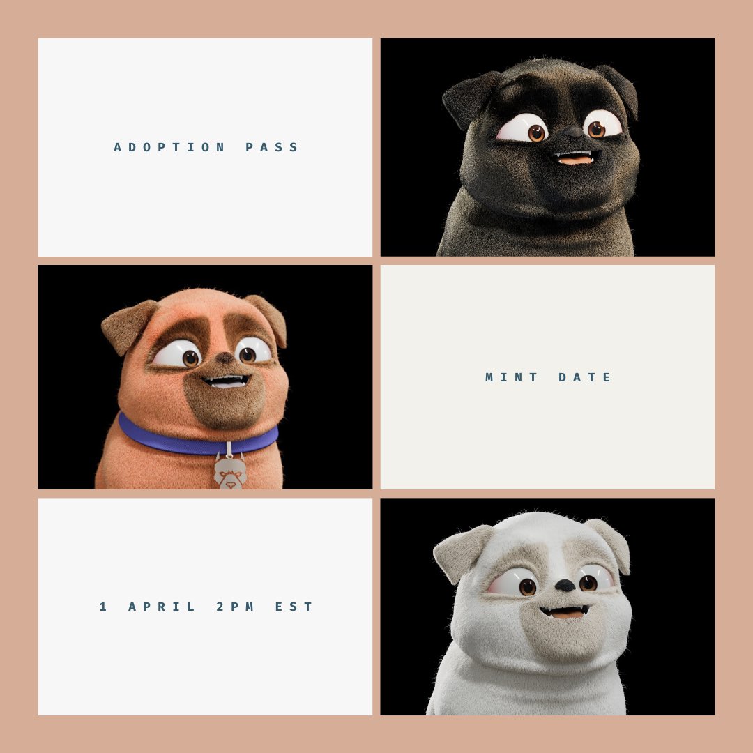 Crypto Dog Society tweet media