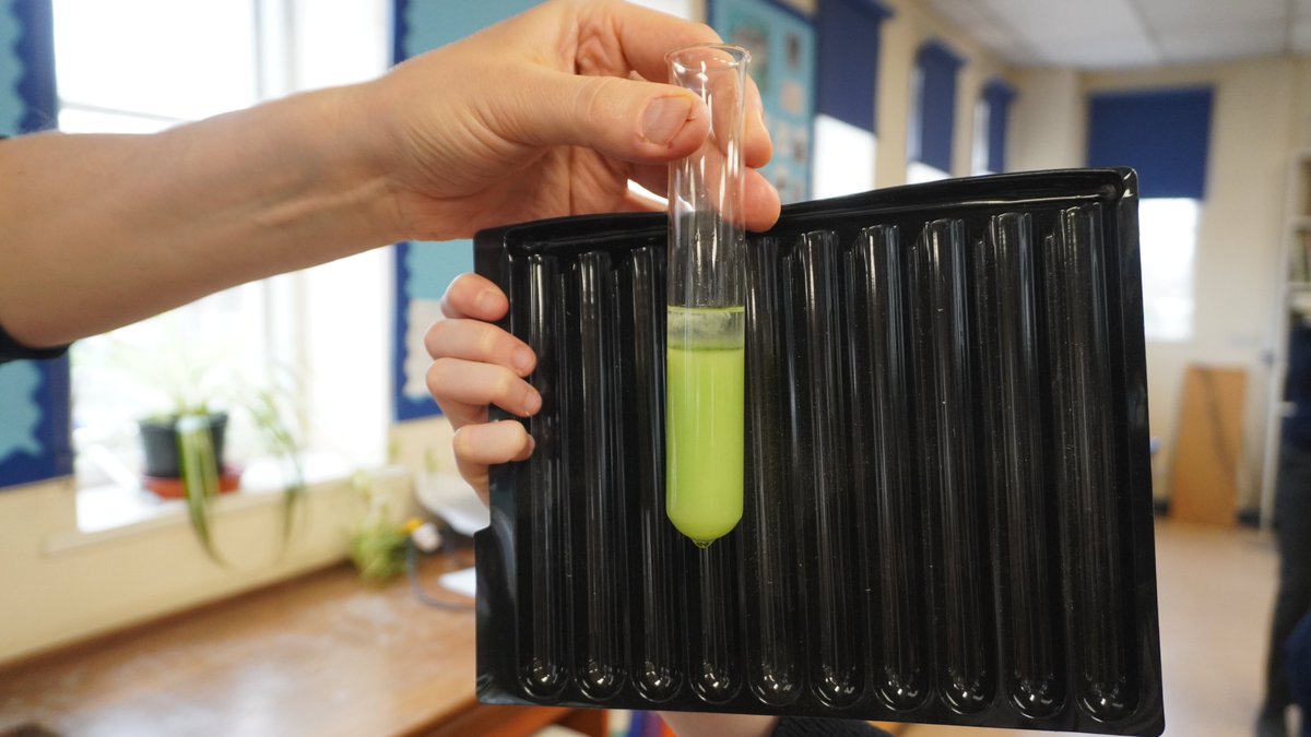 Science | The King’s School tweet media