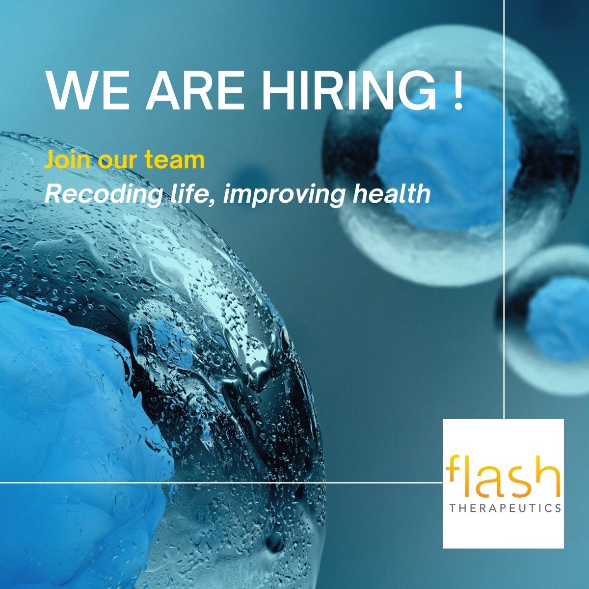 #Innovation #santé
Nous proposons plusieurs offres d'emploi🔎

Consultez toutes les offres sur notre site
👉 lnkd.in/dUreaZJi

Postulez facilement en envoyant votre CV sur la plateforme !
Bonne lecture et bon courage aux candidats !

#biotech #emploi #toulouse #recrutement