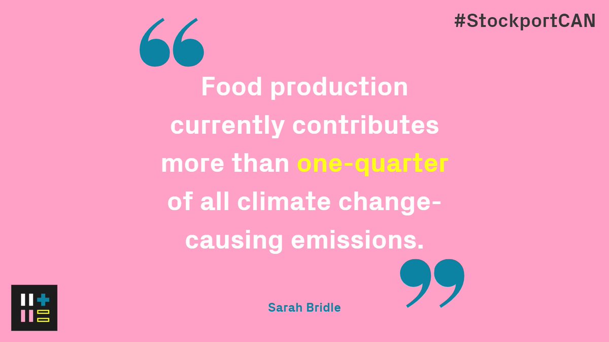 Two + Two tweet media