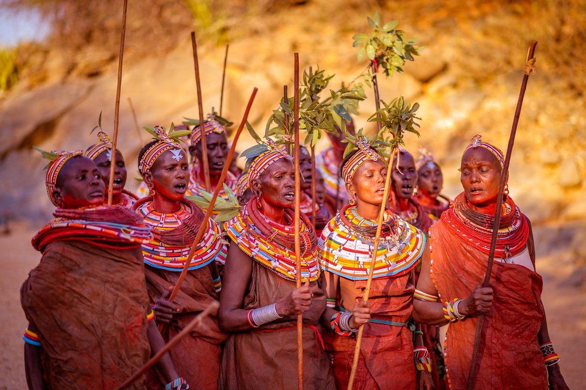 giraffe_manor's tweet photo. A unique ceremonial display by a group of powerful Samburu women.

Women from neighbouring areas unite to dance and chant their way to the riverbed, wishing for the prosperity of their families, crops and livestock.

📸 @klein_nettoh 

#DiscoverTheSafariCollection 
#Sasaab https://t.co/RGQ1H9092P