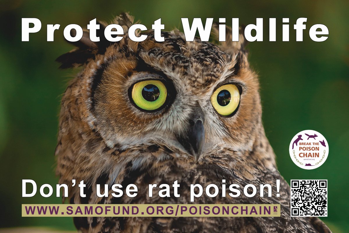 SamoFund's tweet photo. #BreakThePoisonChain signs are back - get yours now for free!
Collect from King Gilette Ranch, or pay for postage.
Order at: https://t.co/mfL8J6UykK

#SamoFund #SantaMonicaMountainsFund #NationalParksFoundation #NPS #SantaMonicaMountains #Ecology #Conservation https://t.co/RBu9DmCt8Y