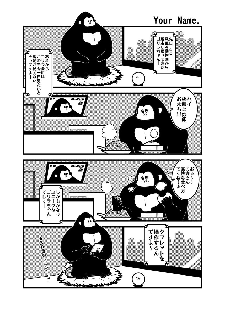 シティゴリラ✖️4 