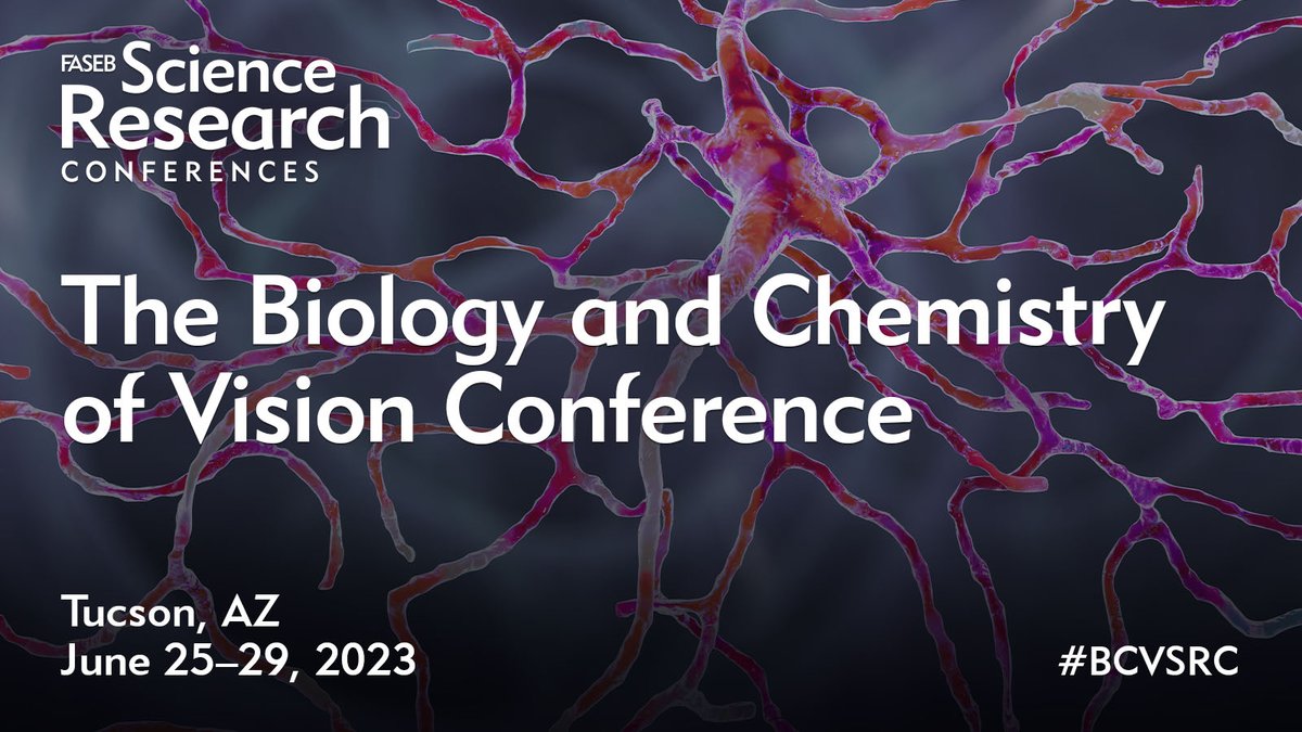 Andrea Bauerfeind tweet media