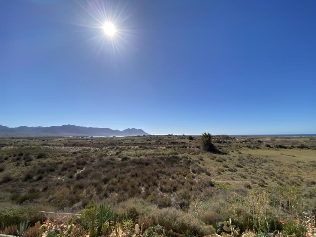 El sol ☀brilla sobre la estepa litoral cabogatera. Primavera posiblemente sea la mejor época de visitar el PN. Por la paleta de colores, la floración y sobretodo porque aún teniendo buen tiempo no está todavía masificado como los meses de julio y agosto. 🦩🌾🐐🌼🐝