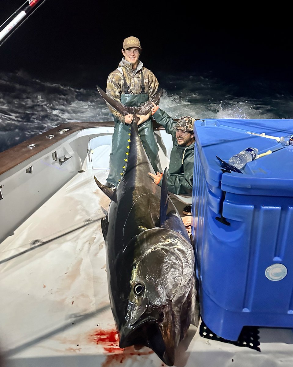 tunasinthebox's tweet photo. Another giant here for @hogwild_charters @jimmiehorning @josh_tolson and @ian_johnson22 from this past bluefin season. Gosh what a fish 👏🏽 
#angler #biggamefishing #bluefintuna #deepseafishing #fish #fishing #tuna #tunafishing #wahoofishing #wickedtuna #yellowfin #yellowfintuna https://t.co/cdtFB5ggoq