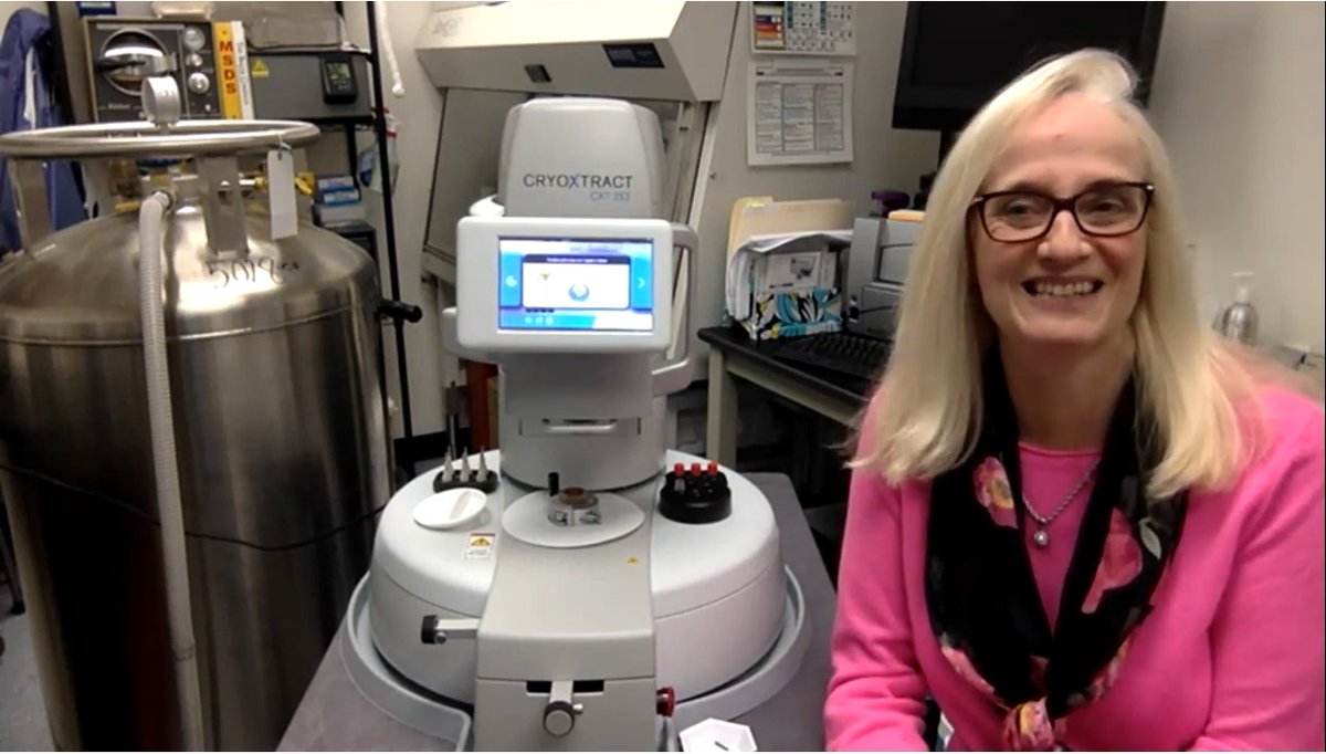 NBSScientificUS's tweet photo. Last month, we partnered with Cathy Roesch from Basque Engineering + Science to present a live demo of the CXT 353 Frozen Aliquotter. The live demo explores the CXT 353 and discusses the benefits of frozen aliquotting. 

Check out the live demo here: https://t.co/yrHAJxIHd9 https://t.co/QSM8SjEFsU
