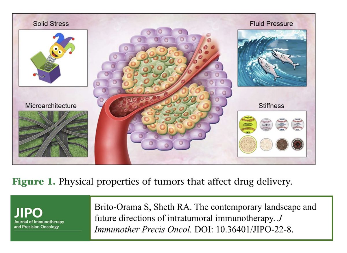 New #JIPO review article: 'The Contemporary Landscape + Future Directions of Intratumoral Immunotherapy' by Brito-Orama + Sheth doi.org/10.36401/JIPO-… #immunotherapy #interventions