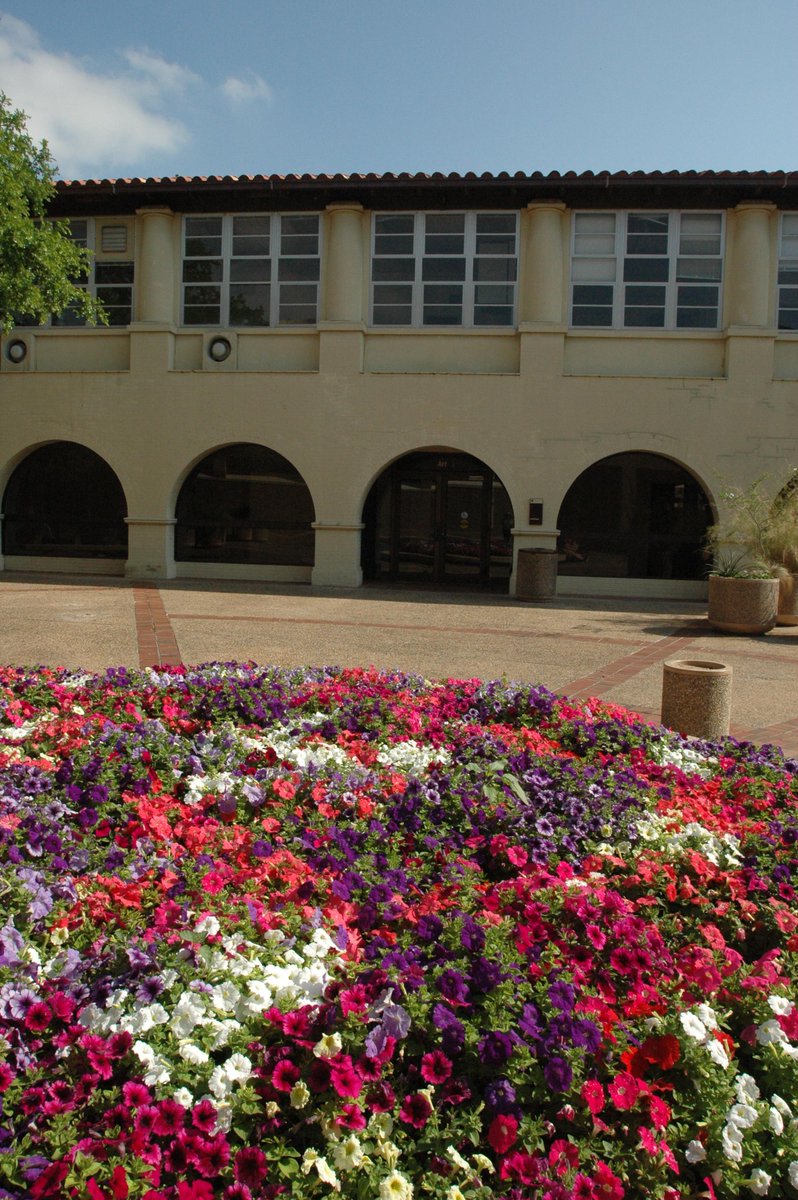 Photographs from 2005: Views of Old Main and Lampasas with a flower garden in the foreground. 

#txstUnivHistory